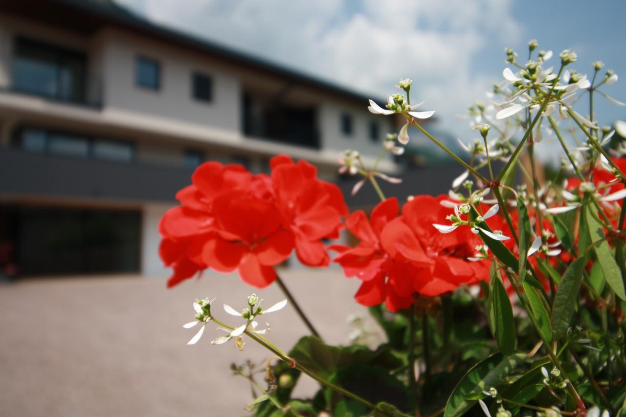 Tholr - Ferienwohnungen - Tramin Termeno Esterno foto